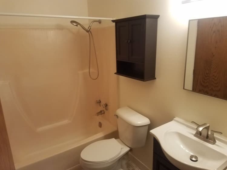 Racine apartments for rent - image - racine-georgetown-square-apartments-bath-4.jpg